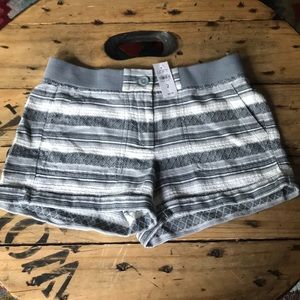 ANN Taylor LOFT shorts